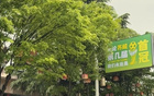 泰州税东街咋了？好多市民拍到......